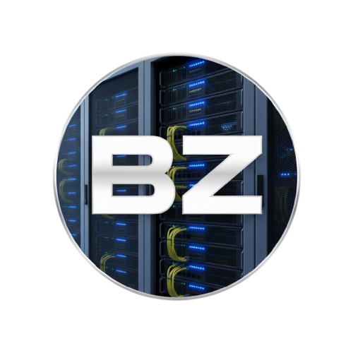 BLAZING FAST HOSTING